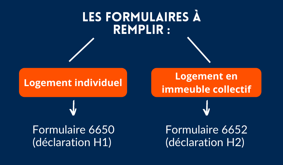 Schéma descriptif des types de formulaires à remplir